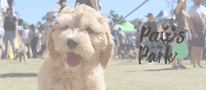 Winner small image - Paws At The Park